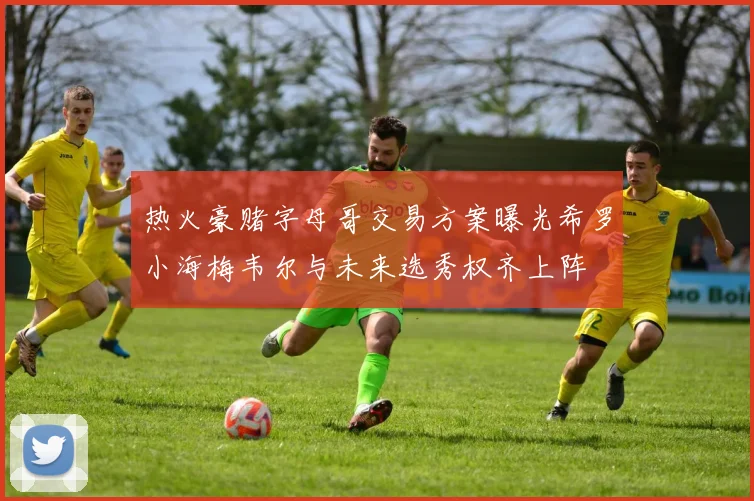 热火豪赌字母哥交易方案曝光希罗小海梅韦尔与未来选秀权齐上阵